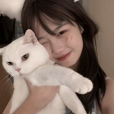 灵丘诀测试版下载